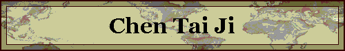 Chen Tai Ji